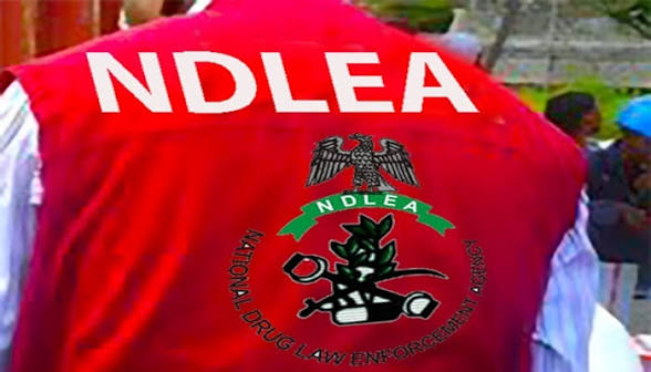 NDLEA SEIZES ₦3.4 BILLION IN DRUGS INCLUDING MAJOR CANADIAN CANNABIS SHIPMENT